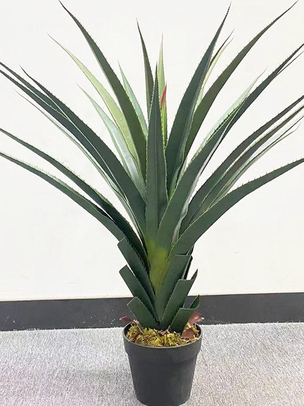 Artificial agave in a black pot