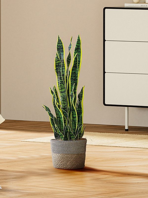 Artificial snake plant in a woven pot