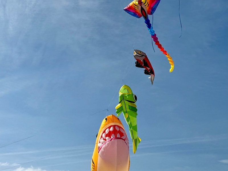 Novelty kites flying against a blue sky
