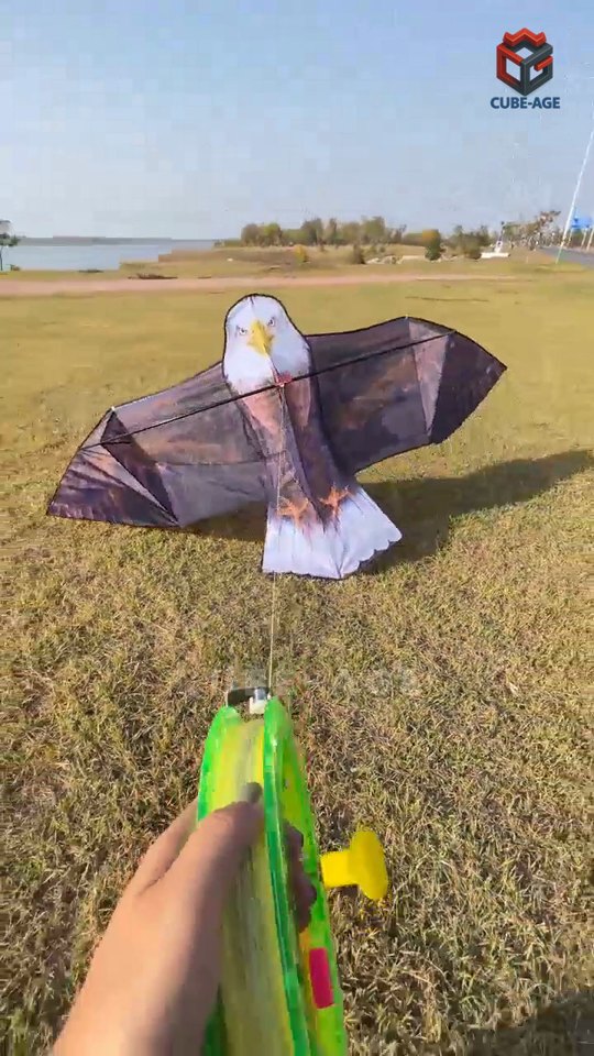 Frame from the Cube-Age kite flying film — an eagle kite up over an open field